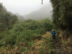 印加古道